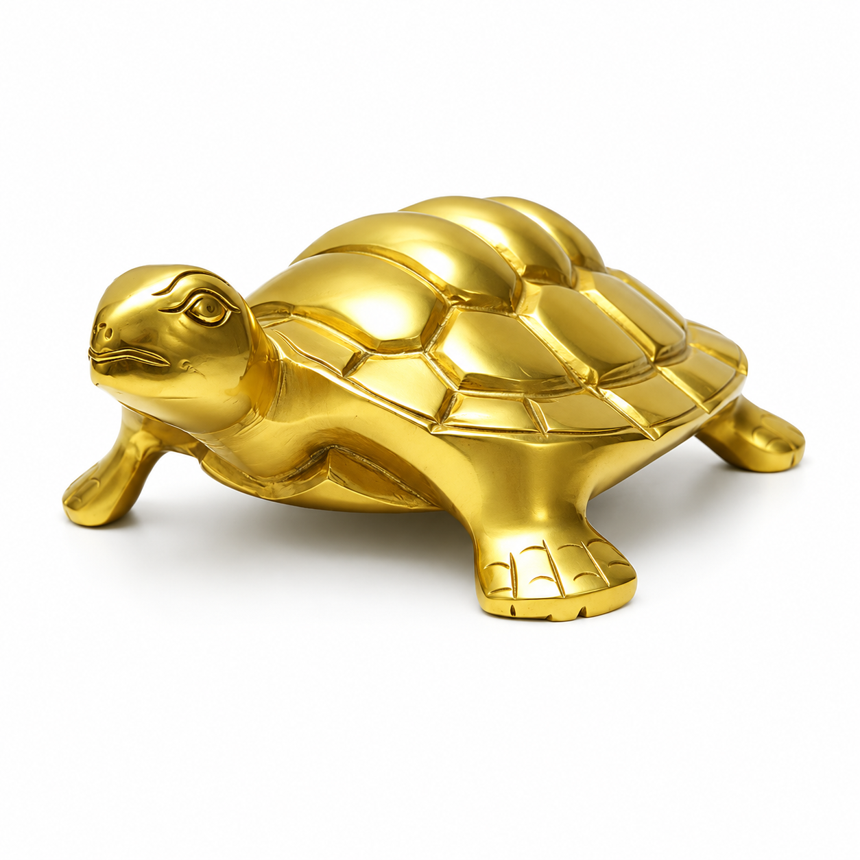 Brass Tortoise